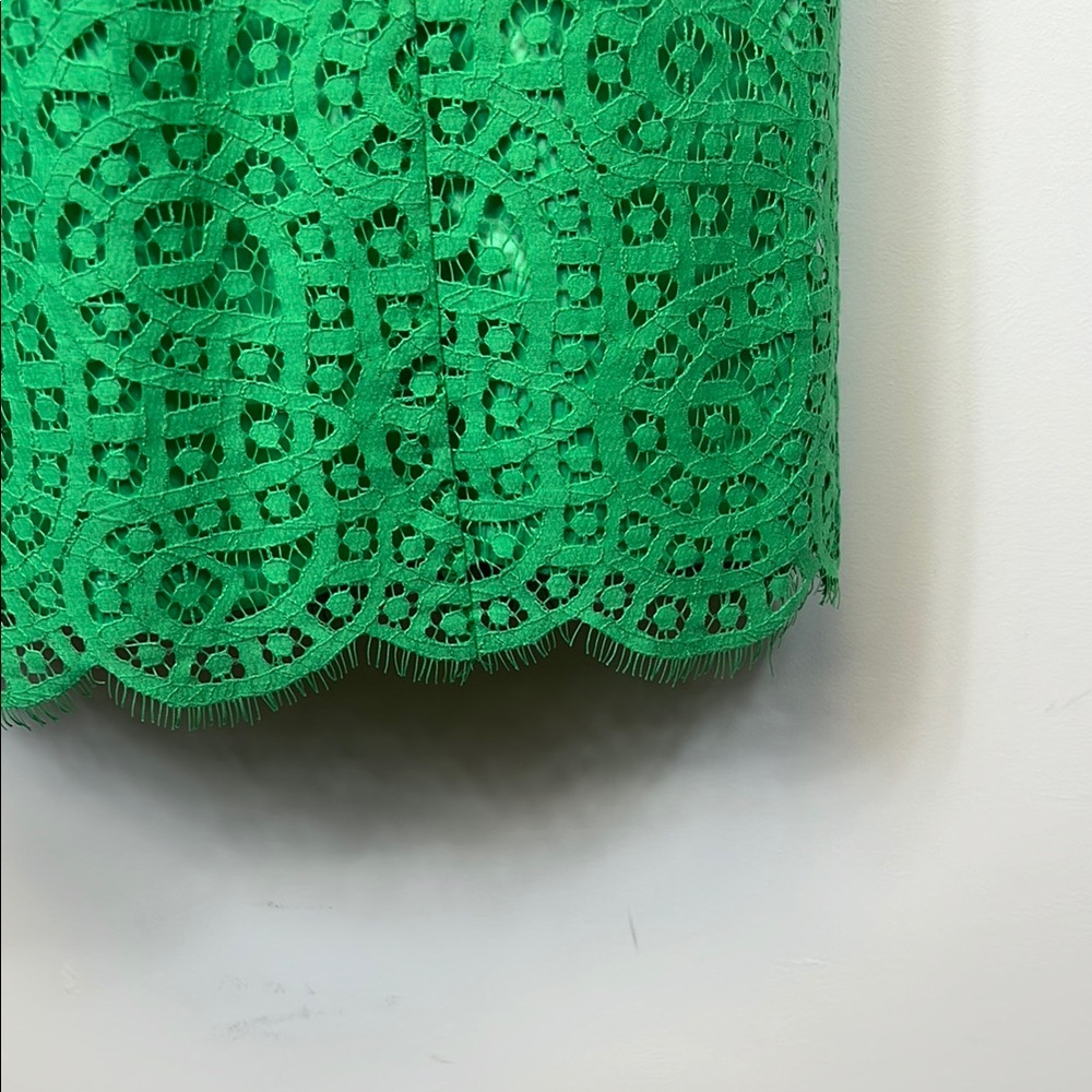 Antonio Melani Chic Green Lace Sleeveless Dress with Eyelash trim Size 12 - Picture 4 of 12